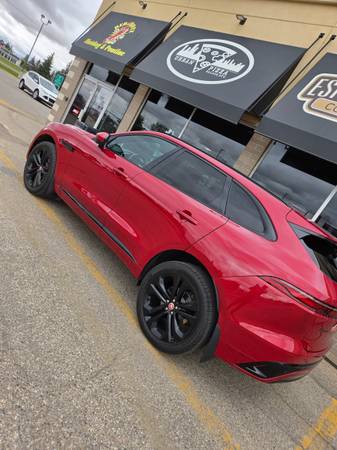 23 jaguar, dovoz Kanada — foto 2 z 9