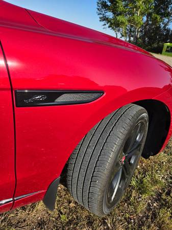 23 jaguar, dovoz Kanada — foto 7 z 9
