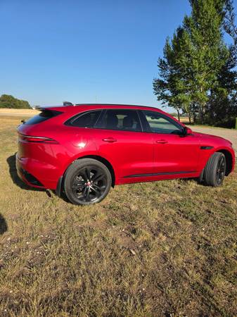 23 jaguar, dovoz Kanada — foto 8 z 9