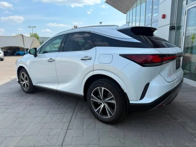2026 Lexus Rx, šedá, 1 km, dovoz Kanada — foto 2 z 20