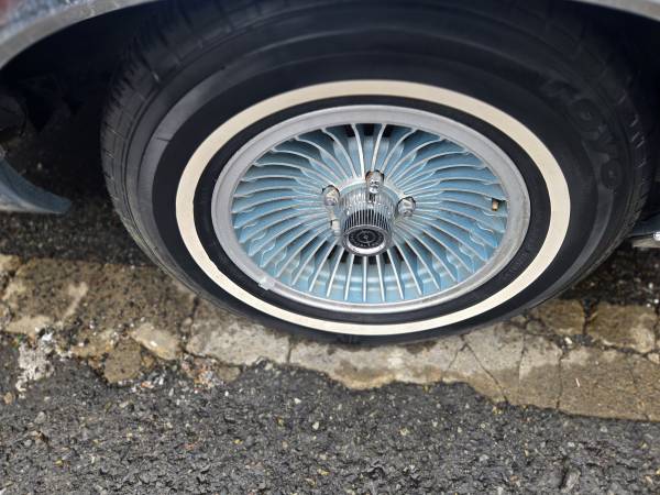Ford, dovoz USA — foto 12 z 12