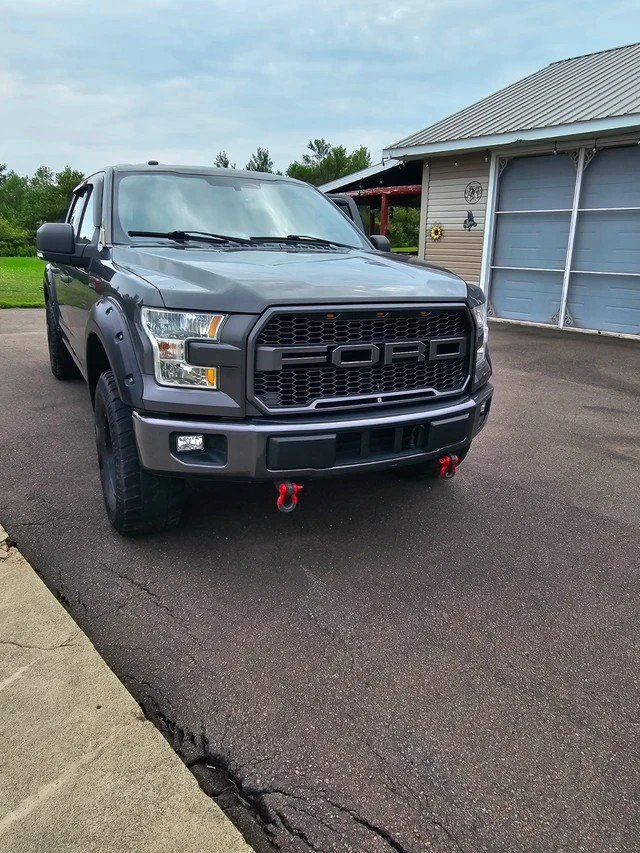 2016 Ford E-150 XLT, zelená, 258 000 km, dovoz Kanada — foto 2 z 5