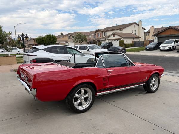 Ford, dovoz USA — foto 6 z 12