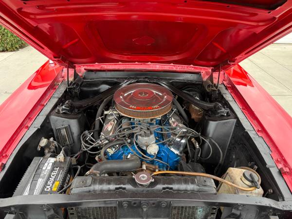 Ford, dovoz USA — foto 9 z 12