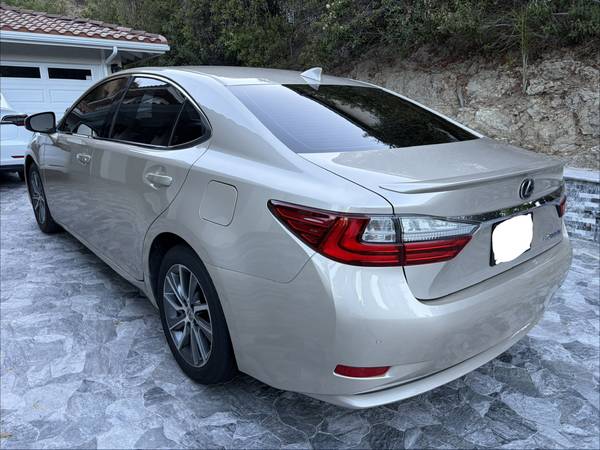 2018 Lexus, dovoz USA — foto 5 z 10
