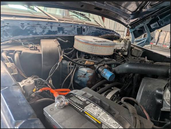 Ford, dovoz USA — foto 7 z 10