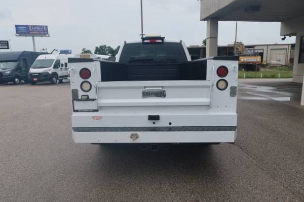 2019 Ford, dovoz USA — foto 6 z 12