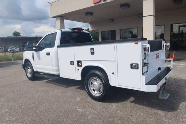 2019 Ford, dovoz USA — foto 7 z 12