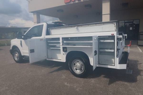2019 Ford, dovoz USA — foto 8 z 12