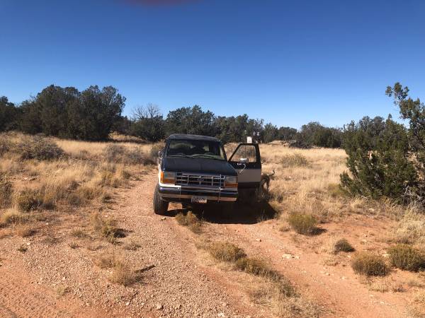1989 Ford, dovoz USA — foto 2 z 5
