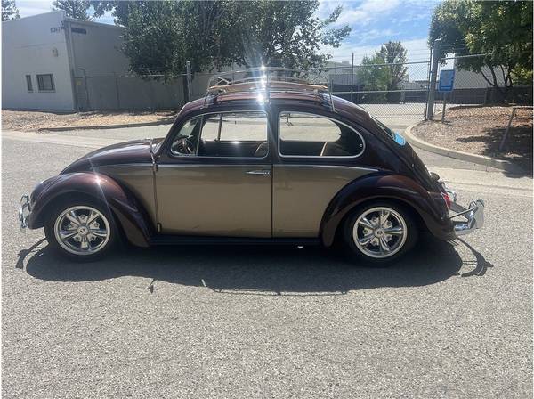 Volkswagen, dovoz USA — foto 4 z 12
