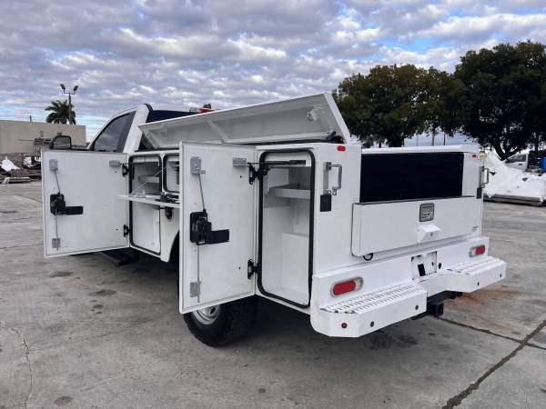 2019 Ford, dovoz USA — foto 7 z 12