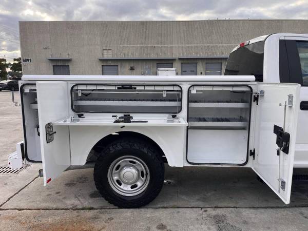 2019 Ford, dovoz USA — foto 9 z 12