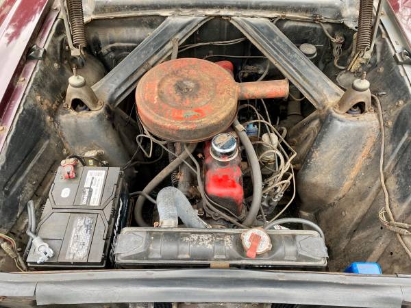 Ford, dovoz USA — foto 8 z 12