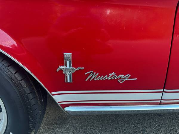 Ford, dovoz USA — foto 8 z 12
