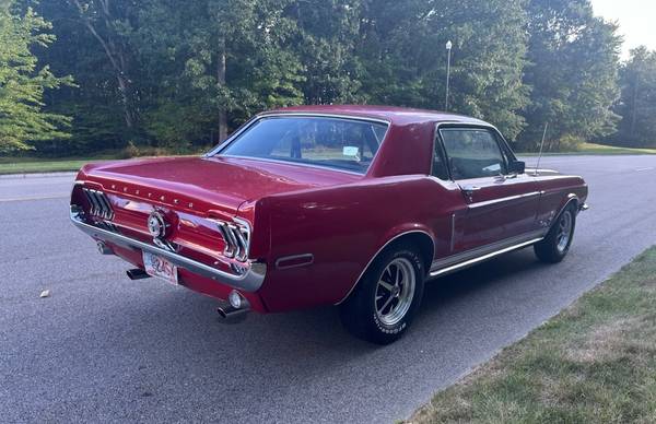 Ford, dovoz USA — foto 9 z 12