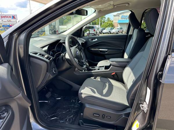 2019 Ford, dovoz USA — foto 5 z 8