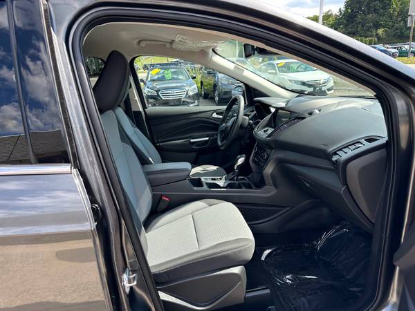 2019 Ford, dovoz USA — foto 8 z 8