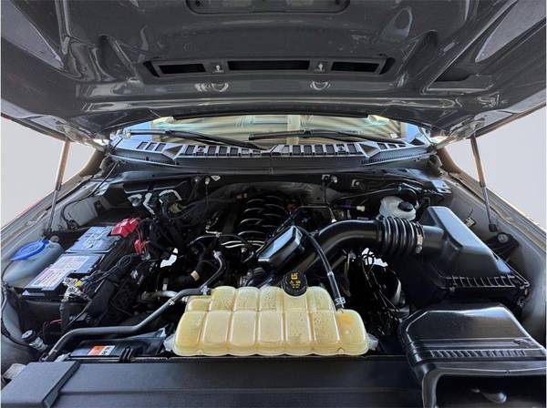 2019 Ford, dovoz USA — foto 8 z 12