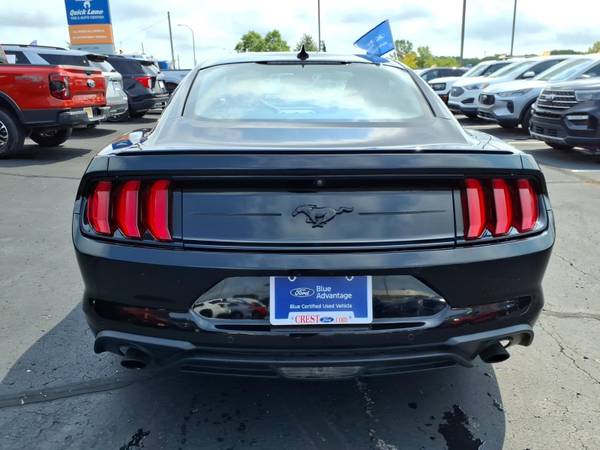 2020 Ford, dovoz USA — foto 5 z 12