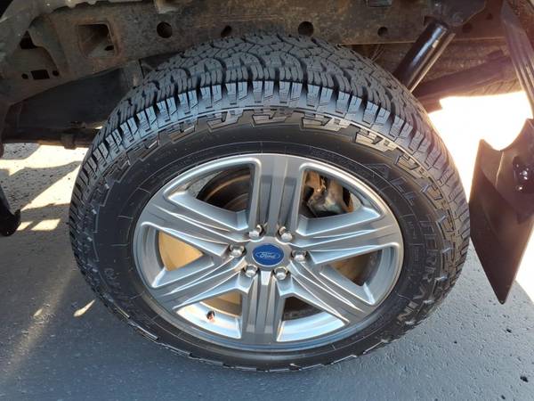 2020 Ford, dovoz USA — foto 7 z 12