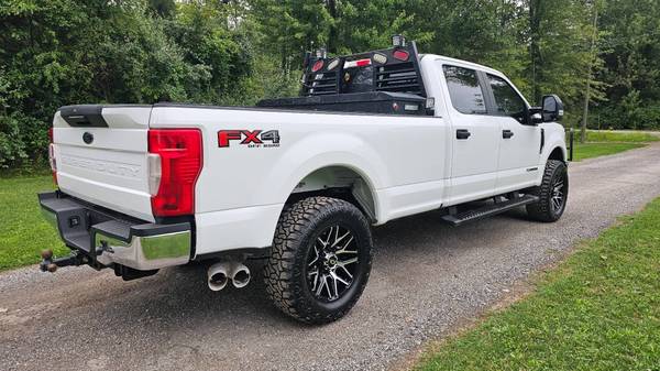 2022 Ford, dovoz USA — foto 9 z 12