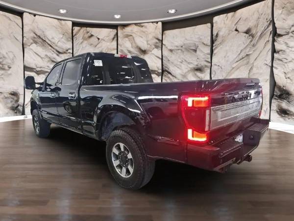2022 Ford, dovoz USA — foto 4 z 6