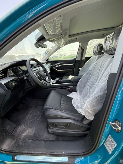2023 Audi E-Tron 50 ADVANCED, modrá, 0 km, dovoz SAE — foto 9 z 17