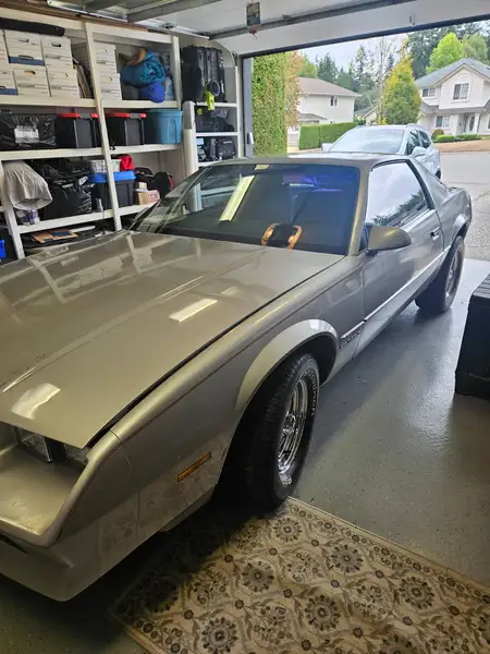 1982 Chevrolet Camaro Basic, stříbrná, 100 000 km, dovoz Kanada — foto 3 z 12