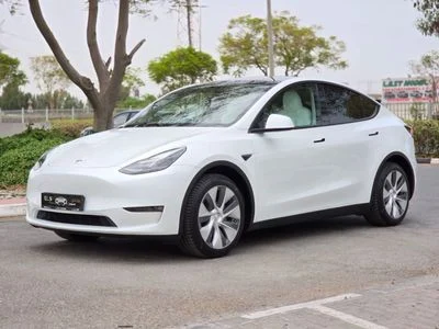 2024 Tesla Model Y LONG RANGE, bílá, 107 000 km, dovoz SAE — foto 2 z 16