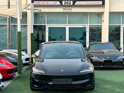 2024 Tesla Model 3 PERFORMANCE, černá, 50 000 km, dovoz SAE — foto 12 z 14