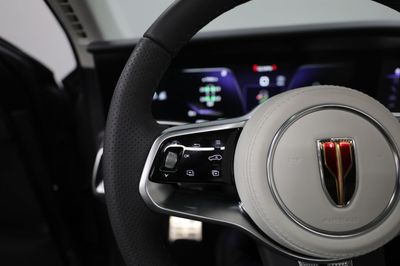 2023 Hongqi EHS9 EXECUTIVE, šedá, 3 158 km, dovoz SAE — foto 10 z 16