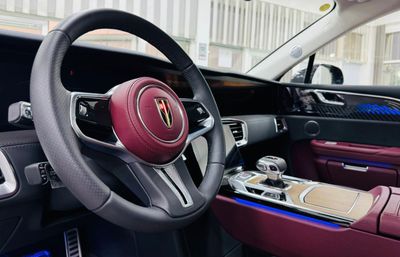 2023 Hongqi EHS9 EXECUTIVE, černá, 0 km, dovoz SAE — foto 11 z 18