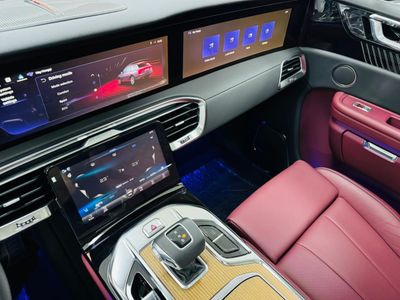 2023 Hongqi EHS9 EXECUTIVE, černá, 0 km, dovoz SAE — foto 13 z 18