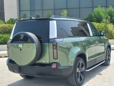 2026 Rox 01 VIP, zelená, 25 km, dovoz SAE — foto 5 z 14