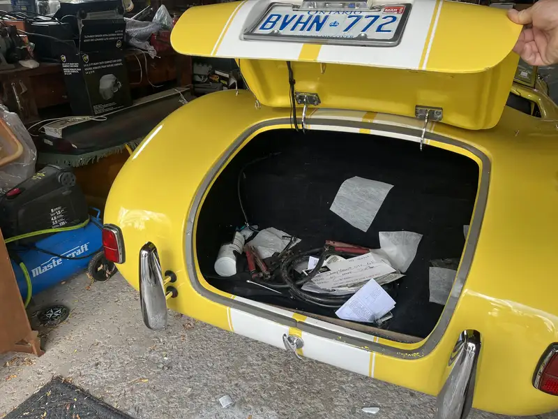 AC Cobra, 11 009 km, dovoz Kanada — foto 3 z 10