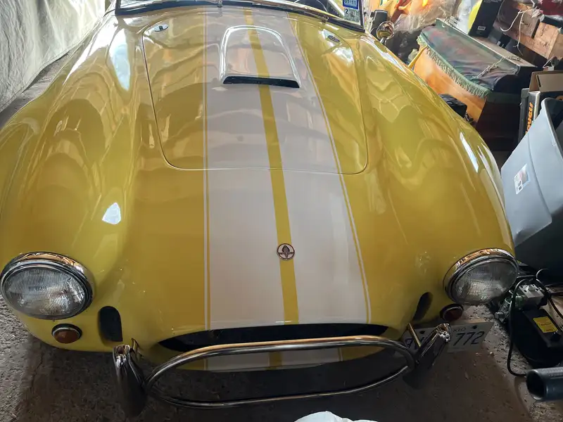 AC Cobra, 11 009 km, dovoz Kanada — foto 6 z 10