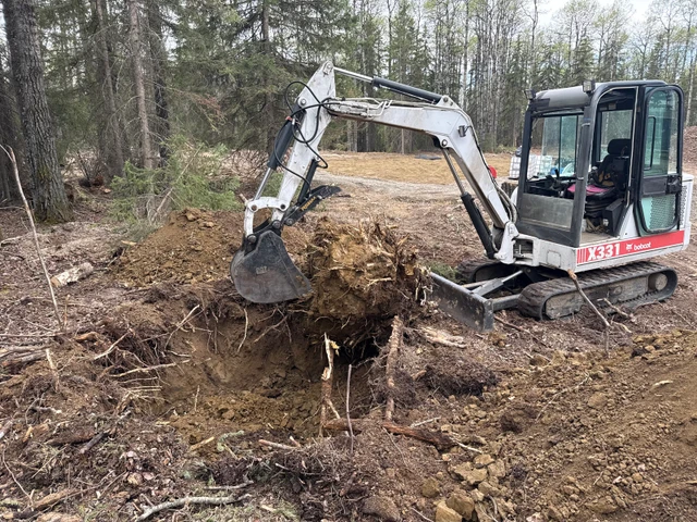 2001 Bobcat 331, červená, dovoz Kanada — foto 2 z 2