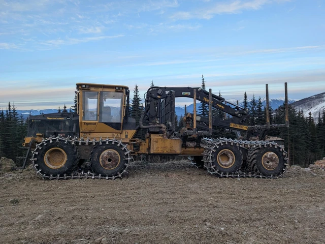 2023 TIGERCAT, 1 mth, dovoz Kanada — foto 2 z 5