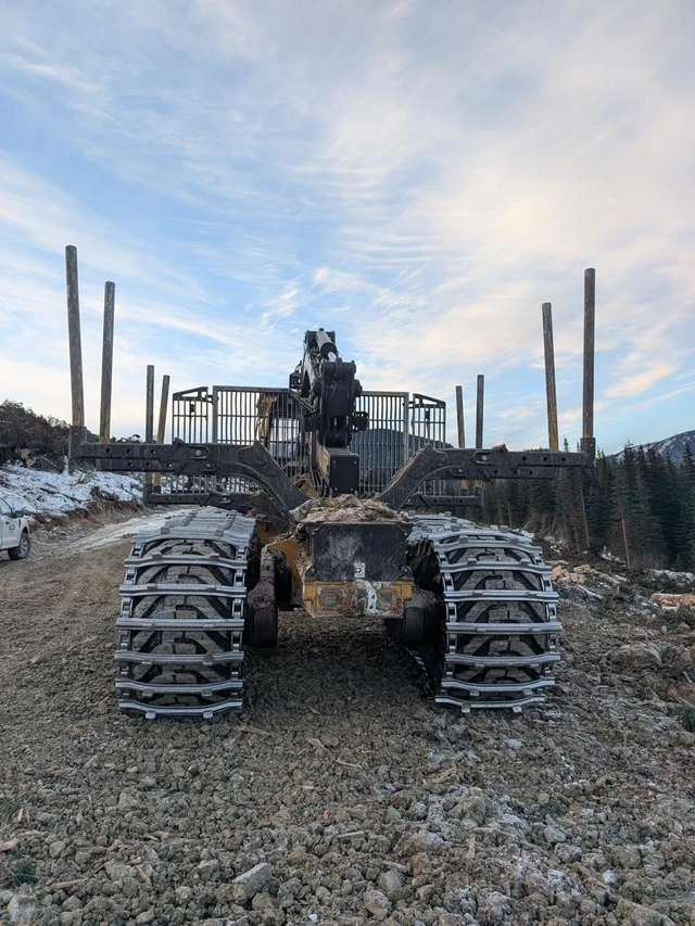 2023 TIGERCAT, 1 mth, dovoz Kanada — foto 5 z 5