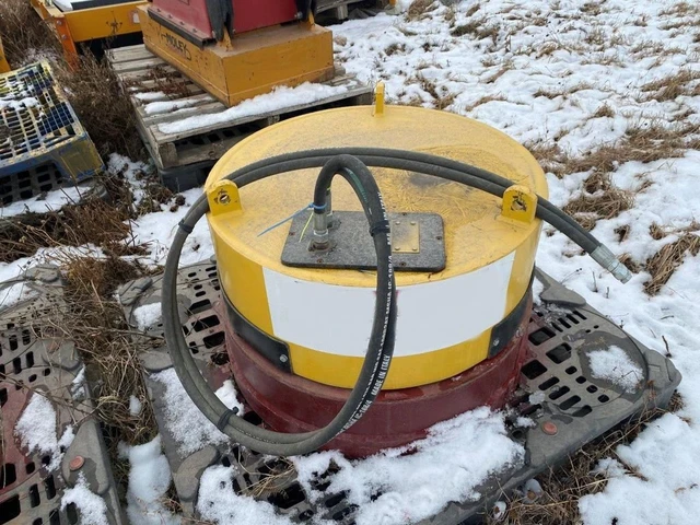 2019 GRYB, dovoz Kanada — foto 2 z 4