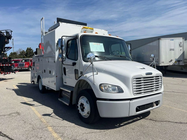 2009 FREIGHTLINER, 301 256 mth, dovoz Kanada — foto 3 z 5