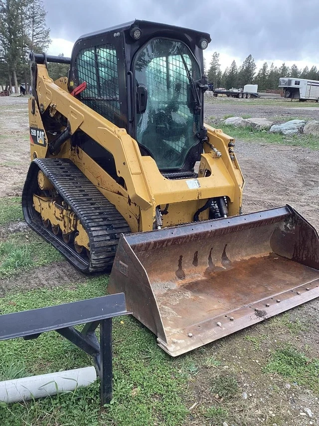 2017 Caterpillar 259D, 1 mth, dovoz Kanada — foto 2 z 5