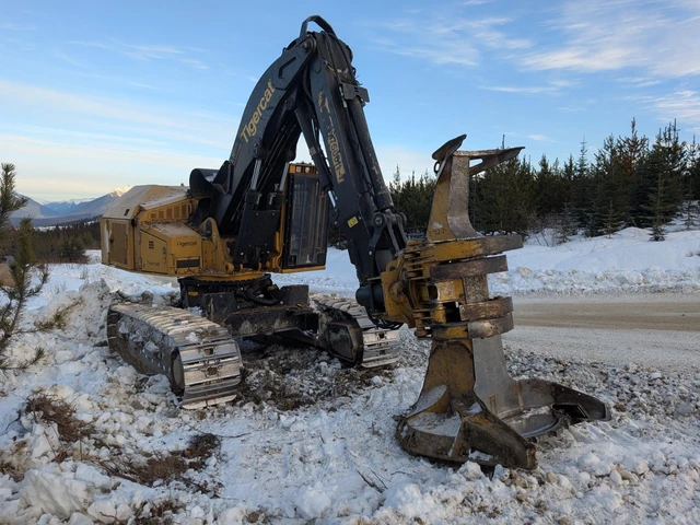 2017 TIGERCAT, 1 mth, dovoz Kanada — foto 2 z 5