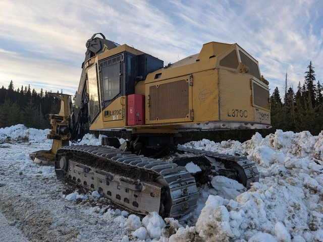 2017 TIGERCAT, 1 mth, dovoz Kanada — foto 3 z 5