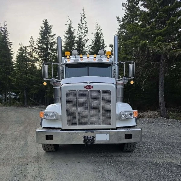 2020 PETERBILT, 1 mth, dovoz Kanada — foto 2 z 5