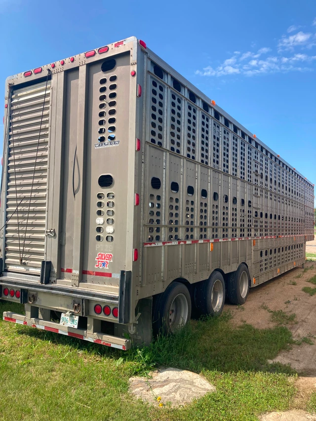 2010 CATTLE, dovoz Kanada — foto 4 z 5