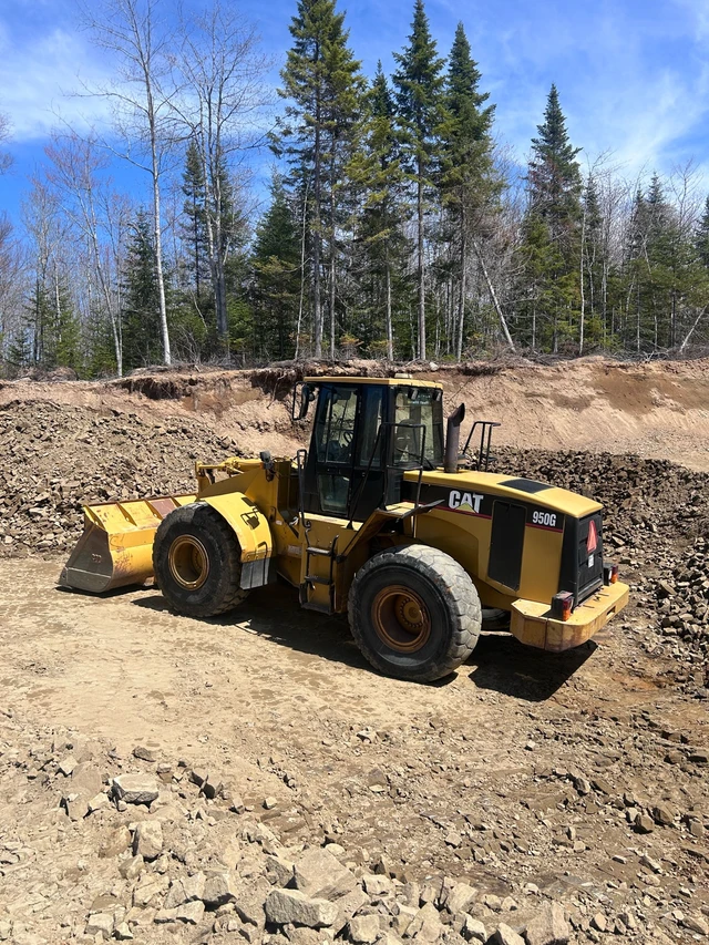 LOADER, dovoz Kanada — foto 5 z 5