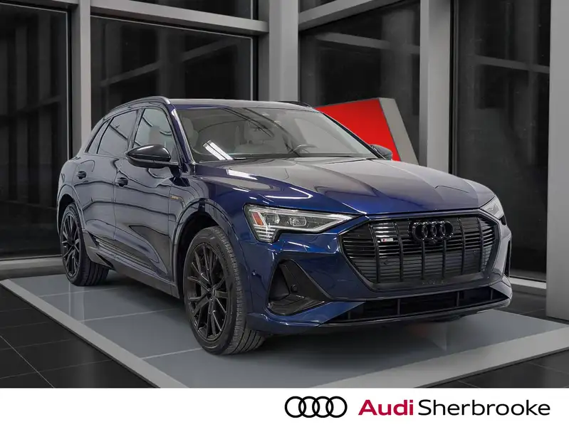 2022 Audi E-Tron Progressiv, modrá, 68 591 km, dovoz Kanada — foto 6 z 12