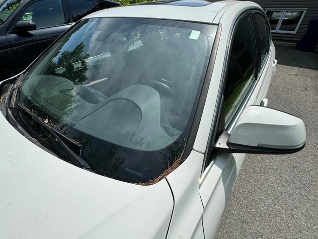 2017 BMW 3Series, 143 000 km, dovoz Kanada — foto 4 z 5